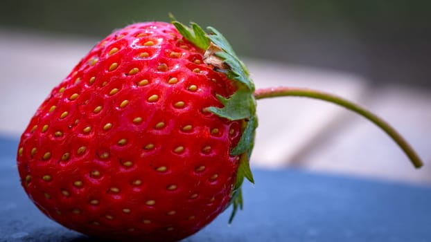 Close up of fresh strawberry showing seeds achenes. Details of a fresh ripe red strawberry.