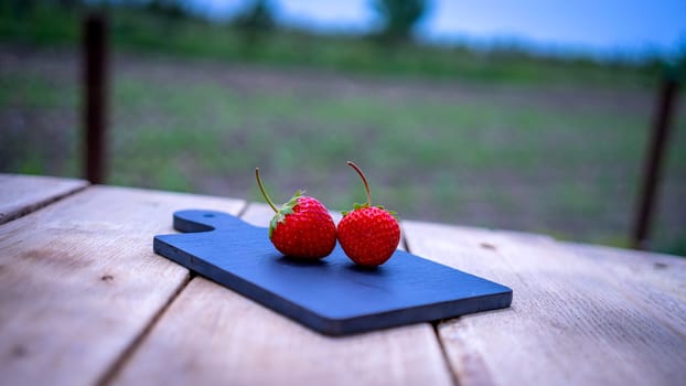 Close up of two strawberries on small black cutting board isolated outdoor on wooden table.