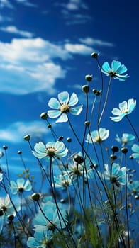 Blue background with flowers and sky illustration