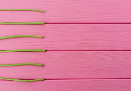 Summer abstract background mockup template free copy space for text pattern sample top view above on pink wooden board. blank empty area for inscription. lines stems stalks of dandelions lie parallel