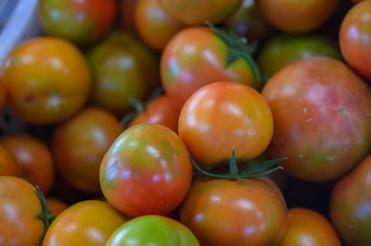 tomatoes in a box in a store in Cyprus 1