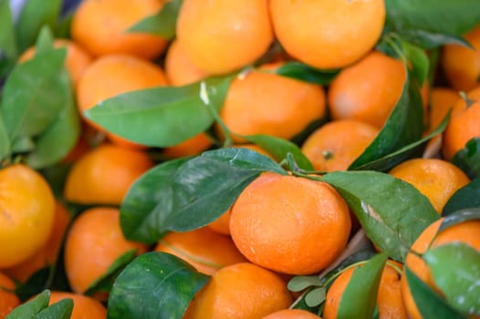 oranges in a box in a store in Cyprus 1