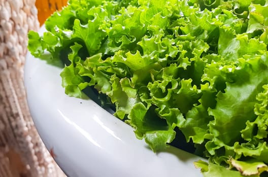 fresh growing lettuce leaves used as main ingredients for salad in the garden very green and healthy diet in the farm