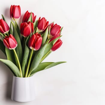 Bouquet of beautiful red tulips on a white background with space for text. Mother's Day, March 8, birthday.