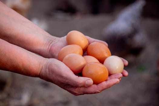 a woman holds chicken eggs in her hands against the background of chickens. farm