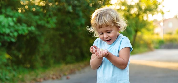 A child catches a butterfly in nature. Selective focus. Nature.