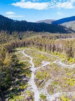 STYX VALLEY, AUSTRALIA - FEBRUARY 20: Forestry Tasmania continues logging of Southwest National Park in the Styx Valley, a World Heritage Area. This area contans old growth native forest. Bob Brown Foundation continues to fight to protect these areas for both the environment and future generations. Images taken on February 20, 2024.