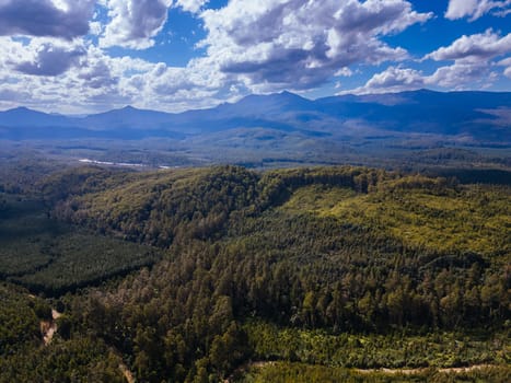 STYX VALLEY, AUSTRALIA - FEBRUARY 20: Forestry Tasmania continues logging of Southwest National Park in the Styx Valley, a World Heritage Area. This area contans old growth native forest. Bob Brown Foundation continues to fight to protect these areas for both the environment and future generations. Images taken on February 20, 2024.