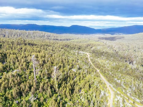 DOVER, AUSTRALIA - FEBRUARY 23: Forestry Tasmania continues logging of Southwest National Park near Dover, a World Heritage Area. This area contans old growth native forest, and home to the critically endangered Swift Parrot. Bob Brown Foundation continues to fight to protect these areas for both the environment and future generations. Images taken on February 23, 2024.