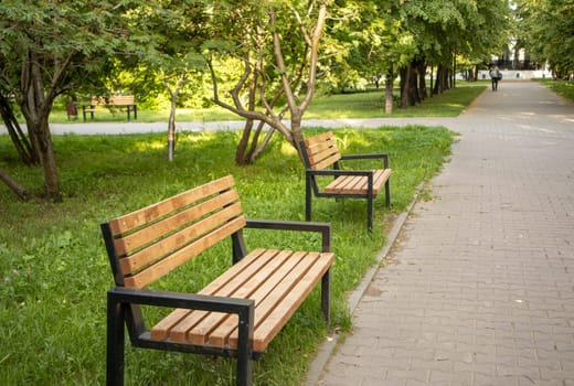 Two new wooden benches stand along the alley in the summer city park.