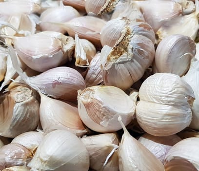 Garlic bulbs on black background, close-up. Organic garlic top view. Food background. Selective focus.