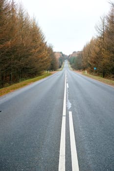 Autumn, trees and sky by highway with overcast weather for journey, trip and travel on road in Germany. Nature, environment and street at countryside with direction, horizon and view of woods.