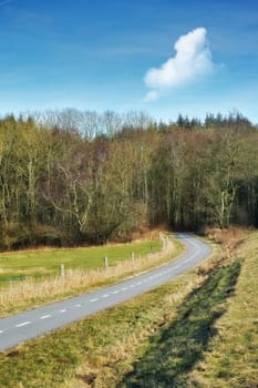 Road, landscape and forest with trees in countryside for travel, adventure and roadtrip with field in nature. Street, pathway and location in Amsterdam with tarmac, roadway or environment for tourism.