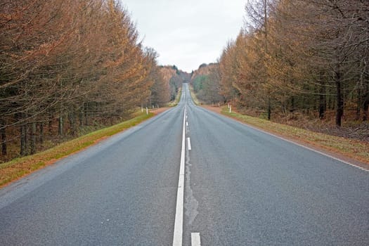 Street, trees and clouds in sky with overcast weather for trip, journey or travel on highway in fall. Environment, nature and street at countryside with nature, horizon and view of forest in Germany.