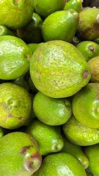 bunch of green avocados at the local market. healthy fresh fruit for salad or juice