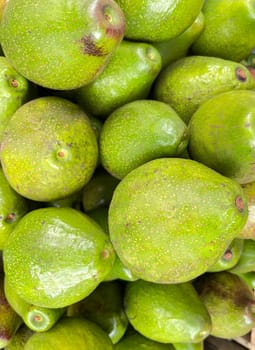 bunch of green avocados at the local market. healthy fresh fruit for salad or juice