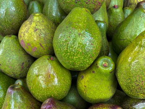 bunch of green avocados at the local market. healthy fresh fruit for salad or juice