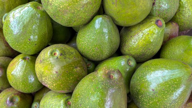 bunch of green avocados at the local market. healthy fresh fruit for salad or juice