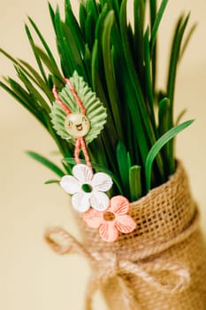 One beautiful homemade martisor of two flowers, a petal and a cheerful smiley face hangs on sprouted wheat in a jute pot on a pastel yellow background, close-up side view with depth of field.