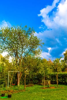 Green Garden with trees plants hut compost beds lawn and barbecue area in Leherheide Bremerhaven Bremen Germany.