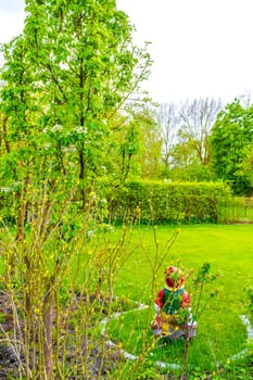 Green Garden with trees plants hut compost beds lawn and barbecue area in Leherheide Bremerhaven Bremen Germany.