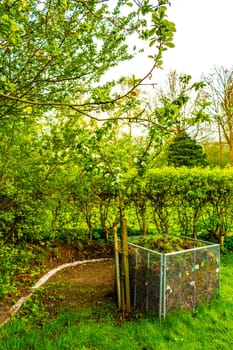 Green Garden with trees plants hut compost beds lawn and barbecue area in Leherheide Bremerhaven Bremen Germany.