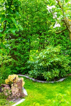 Green Garden with trees plants hut compost beds lawn and barbecue area in Leherheide Bremerhaven Bremen Germany.