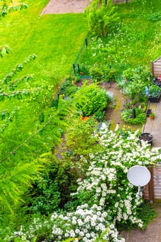 Green Garden with trees plants hut compost beds lawn and barbecue area in Leherheide Bremerhaven Bremen Germany.