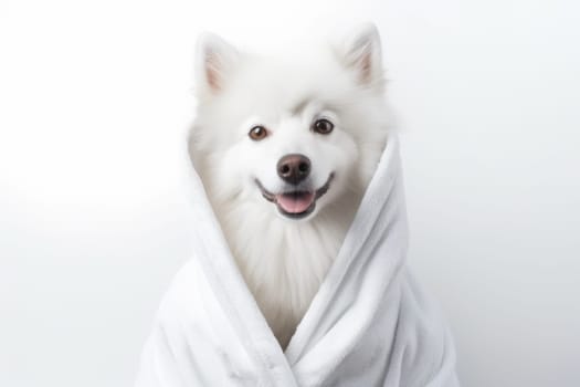 Soft Dog white bathrobe. Relax shower. Generate Ai
