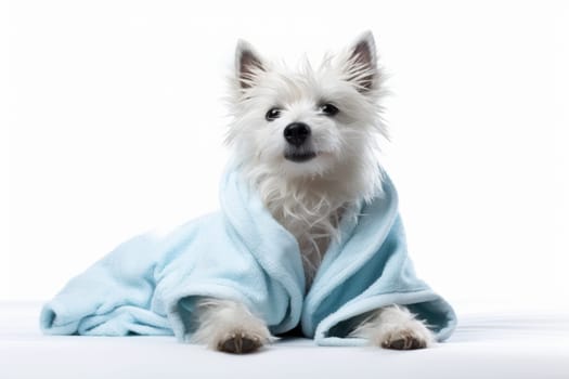 Luxurious Dog white bathrobe. Relax shower. Generate Ai