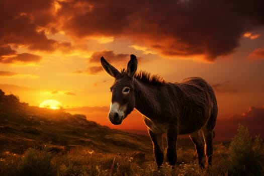 Golden Donkey field sunset. Cute summer rural. Generate Ai