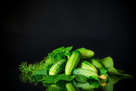 a set of products for pickling cucumbers, isolated on a black background.