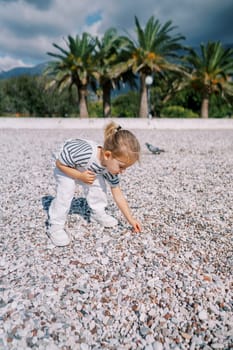Little girl collecting pebbles on the beach, leaning forward. High quality photo