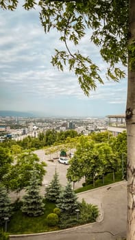 Cityscape with green trees in foreground, contrasting with vibrant urban backdrop. Harmony between nature and city life, ideal for creative projects.