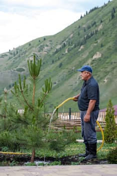 the janitor waters the garden in summer at the foot of the mountains.