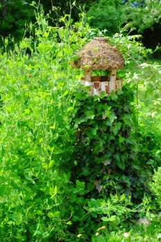 Green, leaves and bird house in garden with nature, Spring season and growth for planting and environment. Greenery, foliage and bush with ornament for decoration, landscaping and plants outdoor.