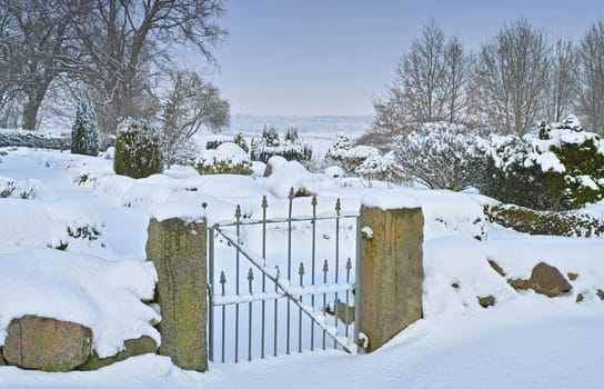 Winter, landscape or gate in forest or snow on frozen morning for weather, climate or cold season. Outdoor, nature or destination in woods for ecosystem background, environment or natural habitat.