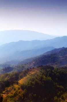 Mountain, fog and natural landscape with bush, cloudy sky and calm hill for travel location. Nature, morning and sustainable environment with earth, peace and holiday destination with conservation.