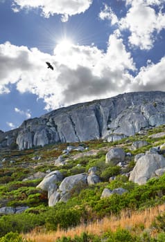 Mountain, sun and natural landscape with cloudy sky, bird in flight and summer peak at travel location. Nature, cliff and sustainable environment with earth, rocks and bush at holiday destination.