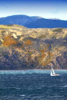 Boat, sailing and ocean with landscape for travel, nature and luxury with transportation for adventure in New Zealand. Yacht, ship and cruise at sea with journey, summer vacation and freedom outdoor.