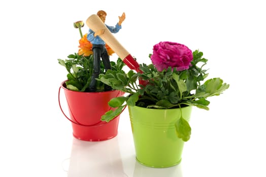 red and green bucket with spring flowers and gardening tools