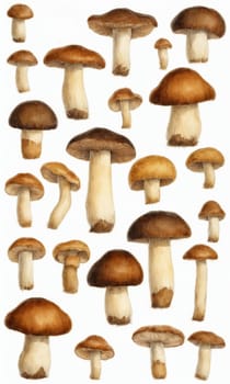 Set of mushrooms isolated on a white background. Watercolor illustration