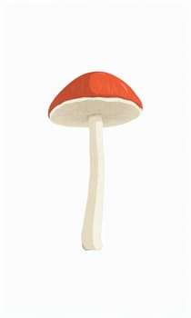 Red mushroom isolated on white background. illustration
