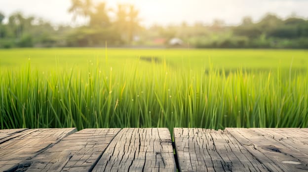 A wooden table set against a backdrop of lush green grass, under the sunlight. The natural environment creates a serene atmosphere with people enjoying nature