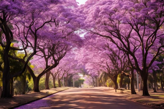 Blossoming Jacaranda trees park. Spring nature. Generate Ai