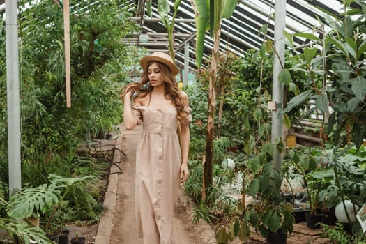 A beautiful young woman takes care of plants in a greenhouse. The concept of gardening and an eco-friendly lifestyle