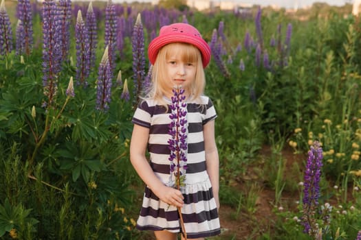 A blonde girl in a field with purple flowers. A little girl in a pink hat is picking flowers in a field. A field with lupines.