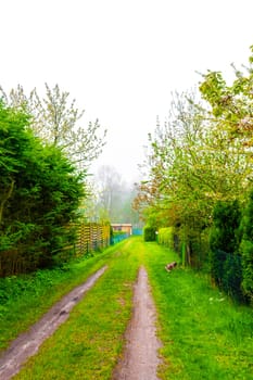 Natural beautiful panorama view on sunny day with walking path walkway trail road green plants trees in the forest of Leherheide Bremerhaven Germany.