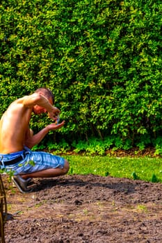 Young man working in the garden beds in Leherheide Bremerhaven Bremen Germany.