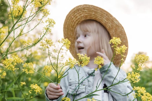 Blonde girl in a field with yellow flowers. A girl in a straw hat is picking flowers in a field. A field with rapeseed